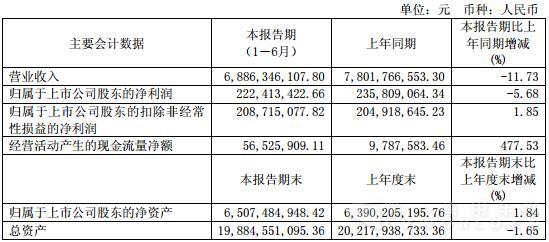 东风股份会计数据.jpg