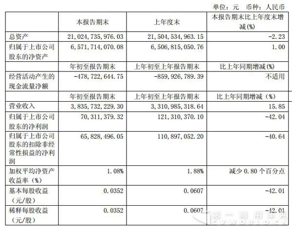 主要财务数据.jpg