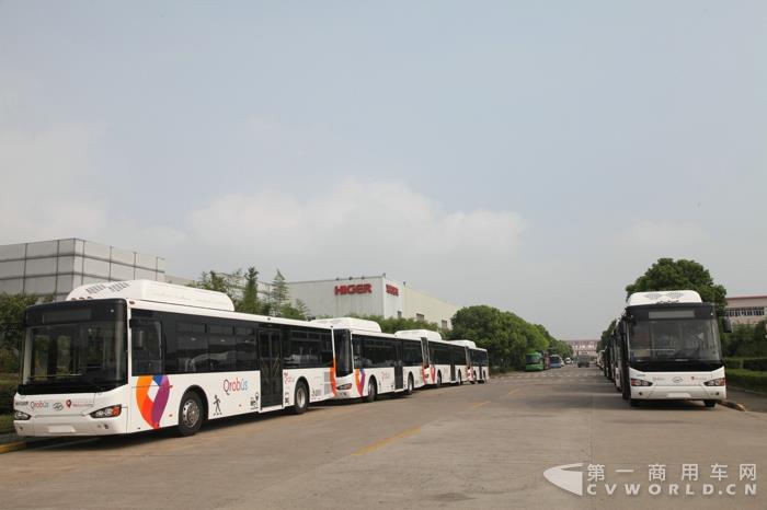 创纪录!中国客车出口墨西哥最大订单花落海格