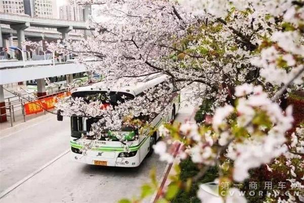 首批公交都市示范城市出炉 上海、南京入选3.jpg