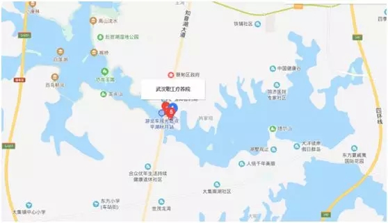 武汉1.webp.jpg