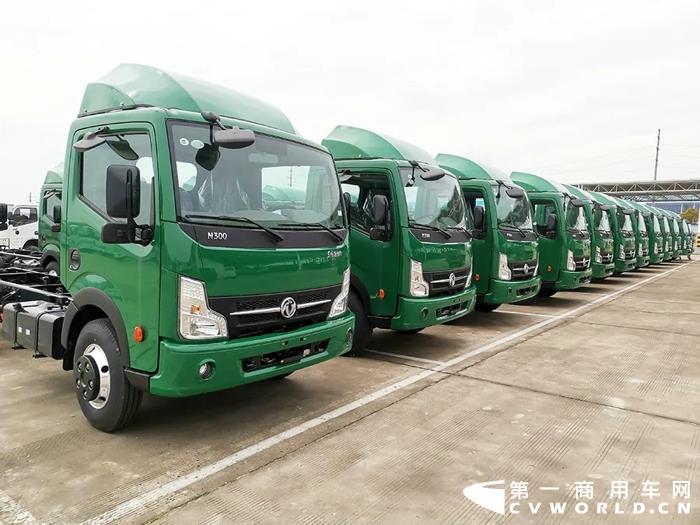 东风9 N300轻卡.webp.jpg