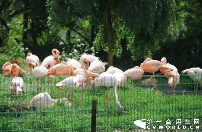 今天，是世界第十九个“国际生物多样性日”。生物多样性是人类赖以生存和持续发展的物质基础，保护生物多样性就等于保护了人类生存和社会发展的基石。