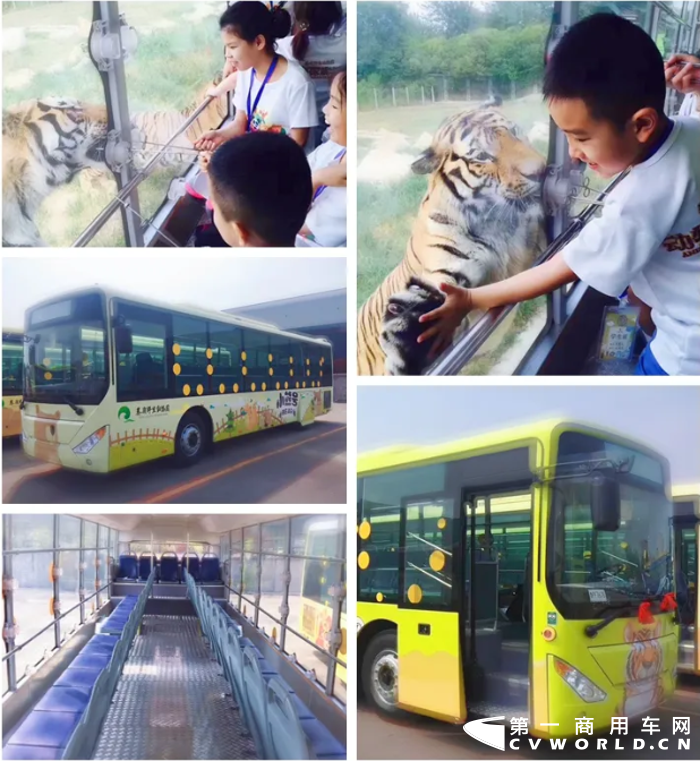 今天，是世界第十九个“国际生物多样性日”。生物多样性是人类赖以生存和持续发展的物质基础，保护生物多样性就等于保护了人类生存和社会发展的基石。