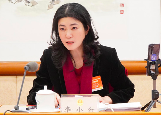 全国人大代表、湖南佳惠百货有限公司董事长李小红.png