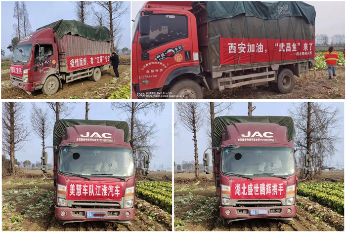图片 4.png
