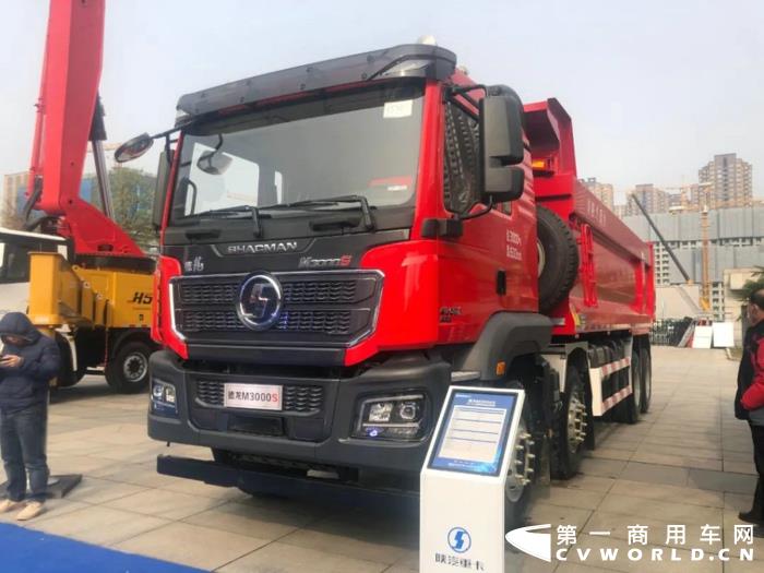 陕汽德龙M3000S 8×4 公路标准版自卸车.jpg