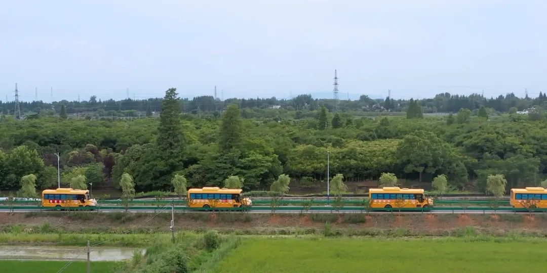 校车，是孩子们上下学路上的“守护神”。校车安全不仅仅是教育问题，更是关切百姓的民生问题，牵动着无数家长和老师的心。