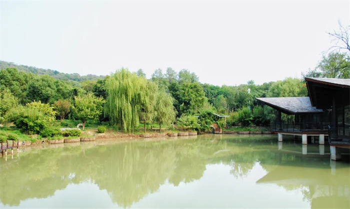 图片 2.png