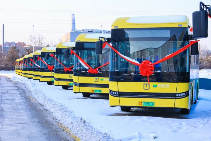 天津交车.jpg