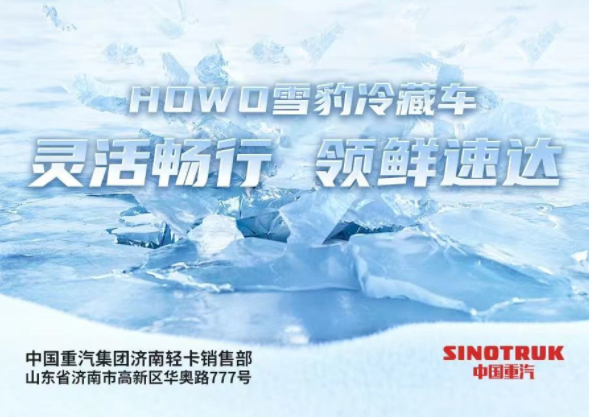 豪沃轻卡6.png