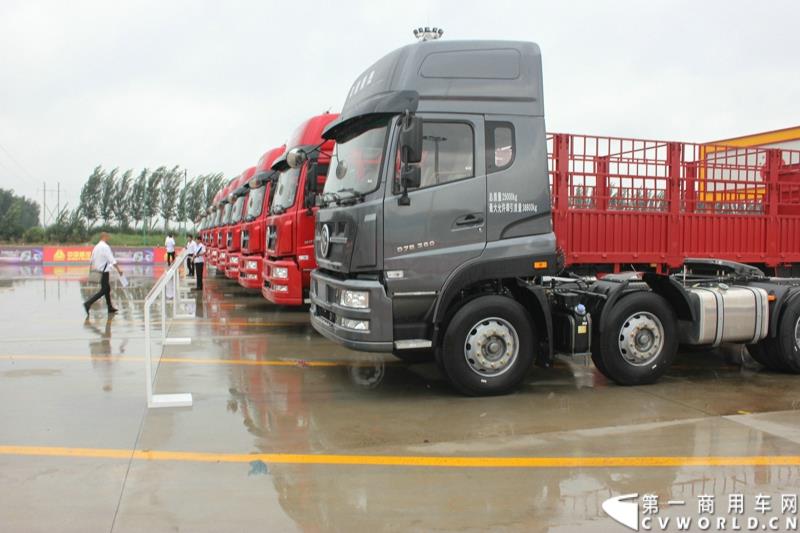 9月1日，以“全新升级·创富利器”为主题的2015中国重汽曼技术新斯太尔创富品鉴会，在河北衡水盛大举行。这是继邯郸、济宁站后，中国重汽再次携“创富者联盟”项目走进河北。图为：现场展车