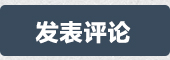 发表评论