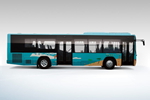 ZK6120CHEVG1