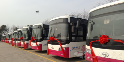 龙华汽车.png