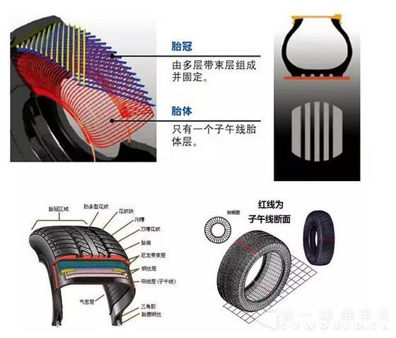 子午胎结构.jpg