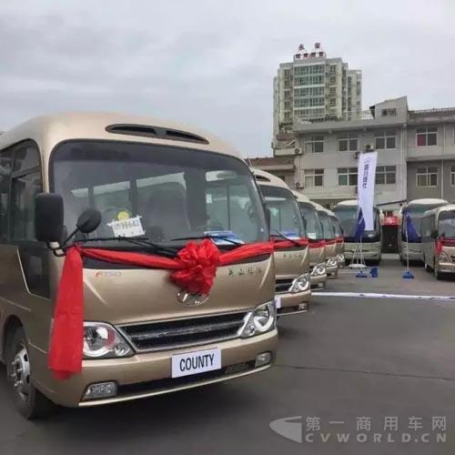 康恩迪6.jpg