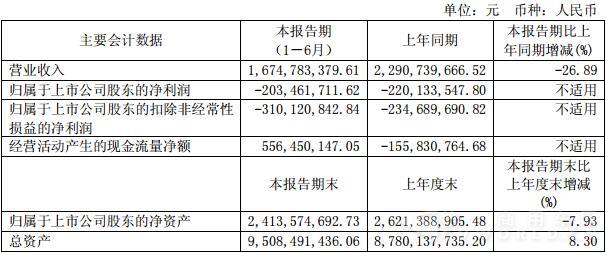 华菱星马会计数据.jpg