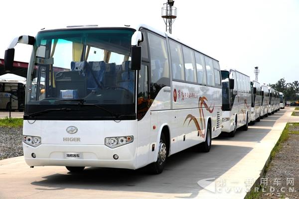 上海锦勤采购的批量海格客车.jpg