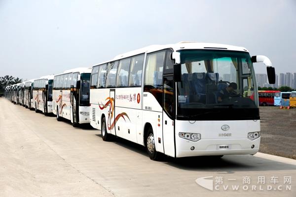 上海锦勤采购的批量海格客车 (2).jpg