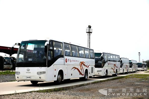 上海锦勤采购的批量海格客车 (3).jpg