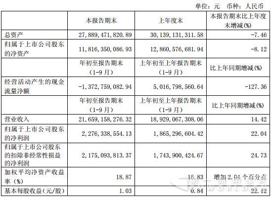 主要财务数据.jpg