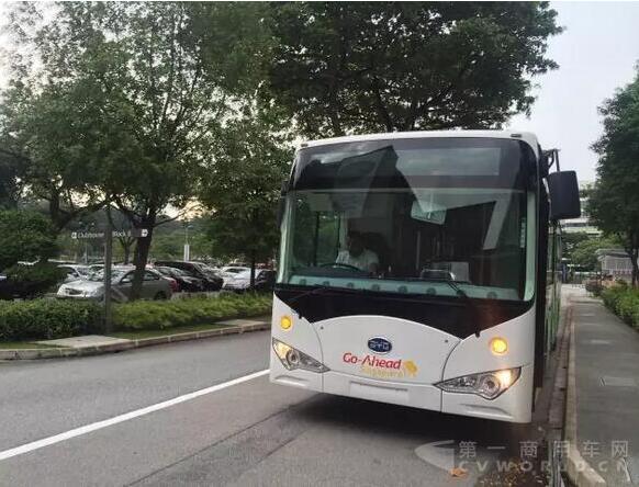 比亚迪.jpg