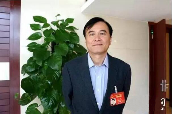 全国人大代表、江淮汽车董事长安进.jpg
