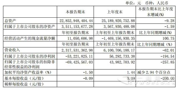 主要财务数据.jpg