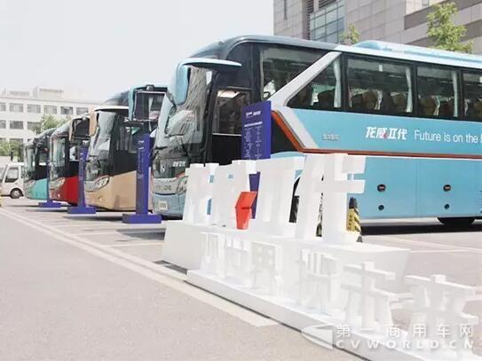 金龙1.jpg