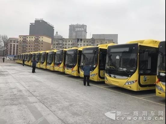 200辆！宇通揽东北新能源客车市场单批次最大订单.jpg