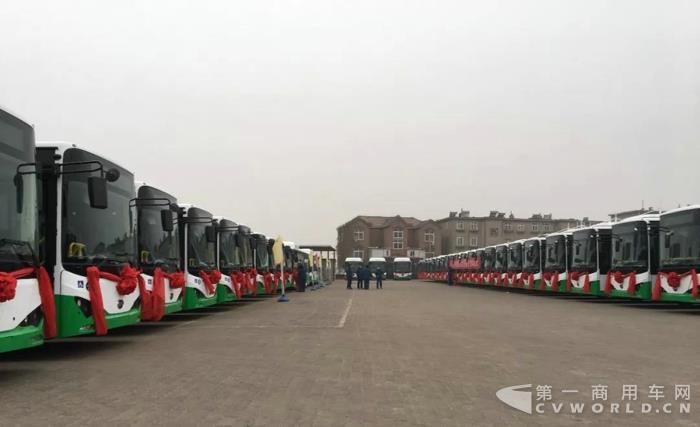 青岛投放372辆比亚迪纯电动公交车2.jpg