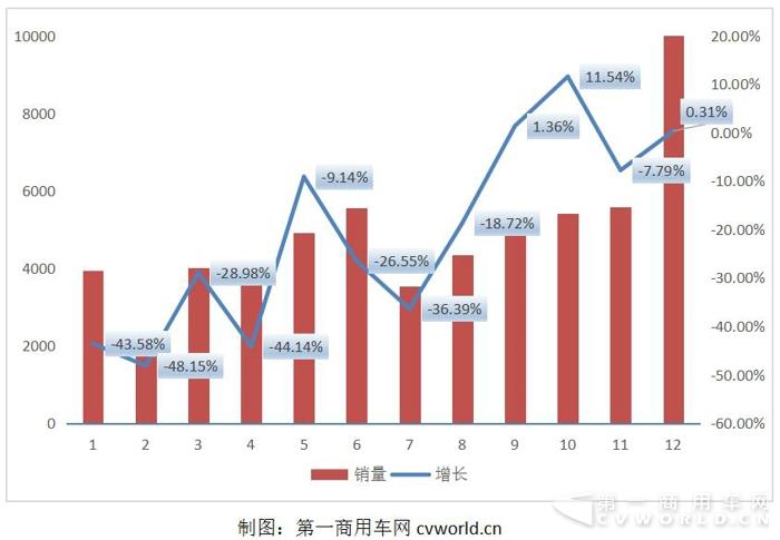 金龙.jpg