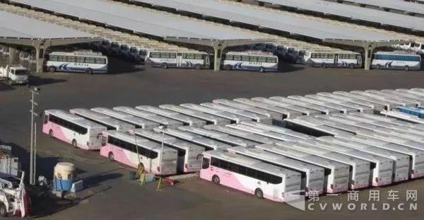 加蓬首次进口中国客车，动力毫无意外是TA5.jpg