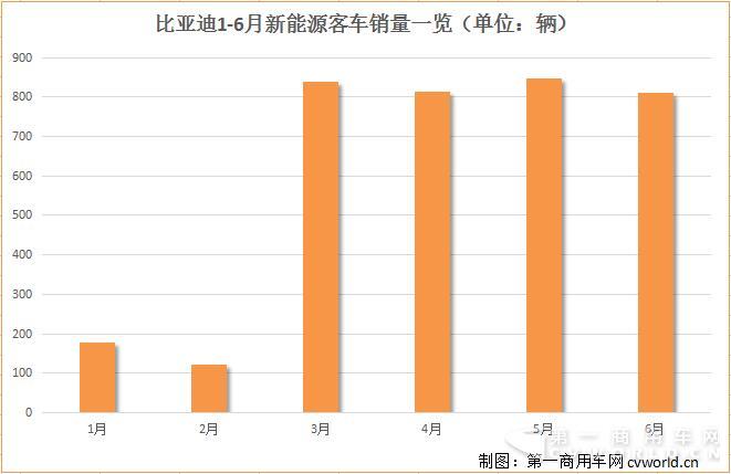 比亚迪11.jpg