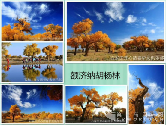 关根起：期待的美景，与福田图雅诺一同去邂逅-10221379.png