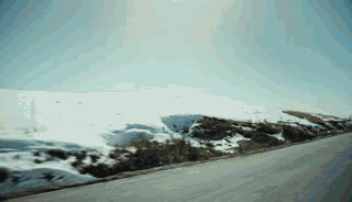 微信图片_20200420110156.gif