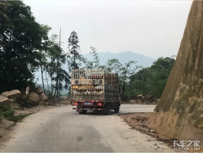 卡车6.png