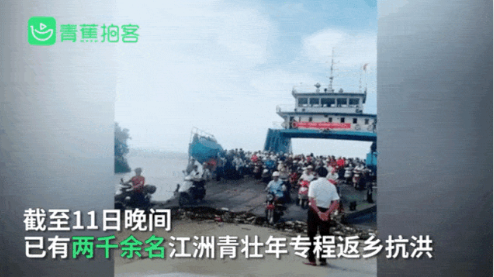 东风110.png