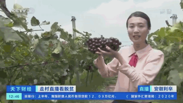 微信图片_20200806093635.gif