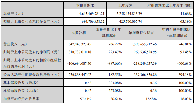 安凯三季报.png