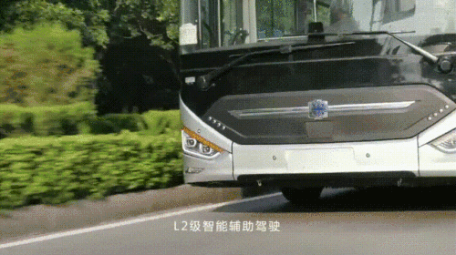 动图3.gif