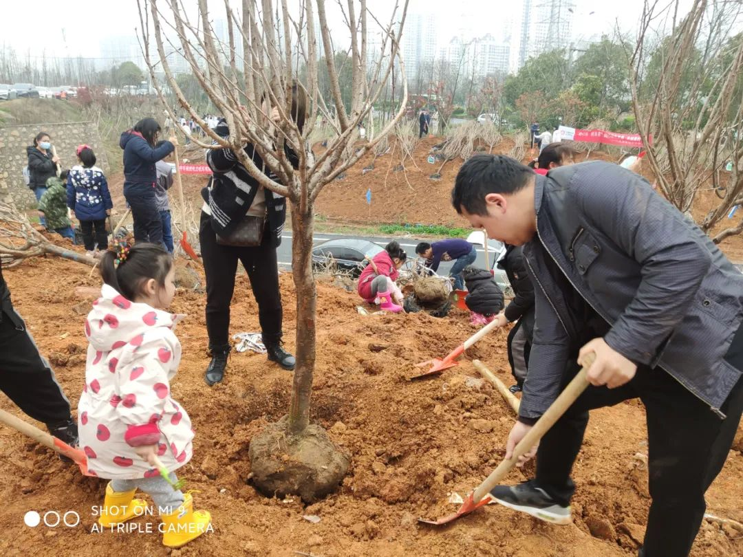 近日，中车电动职能管理党总支、团委联合开展“車载爱—绿荫行动”义务植树活动，用汗水种下一棵棵小树，进一步绿化城市环境，保护生态环境，践行“绿水青山就是金山银山”生态文明理念。