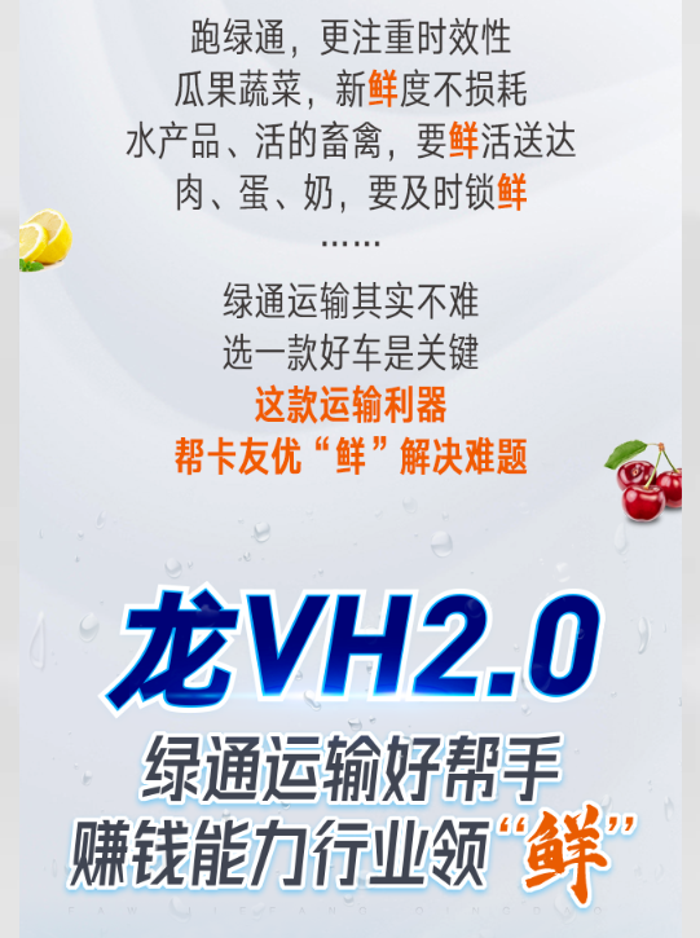 同样跑绿通，龙VH2.0赚钱更多，领“鲜”到底！