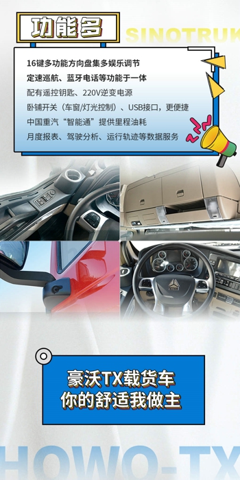 豪沃TX载货车4.jpg