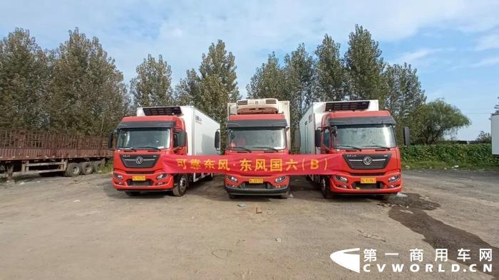 东风13.jpg