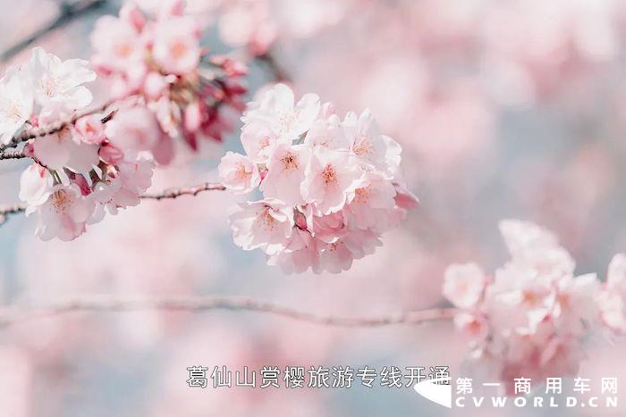 湖北赤壁，一个拥有秀丽风光与英雄故事的传奇之城，境内不仅有国家重点风景名胜区陆水湖风景区，还有中国古代著名战役中唯一尚存原貌的古战场——赤壁。灵秀山川，巍峨历史，丰富的资源与科技的双向沉淀，让赤壁的人民生活怡然自得。全新建成的全域公交体系，迭代更新的宇通纯电动公交车，更是让这里的人民感受到了出行创新升级带来的魅力与美好。
