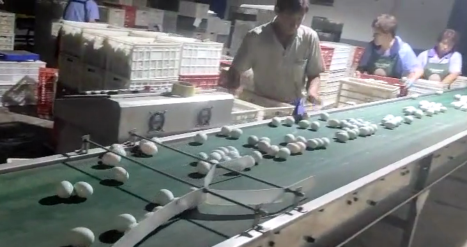 图片 6.png