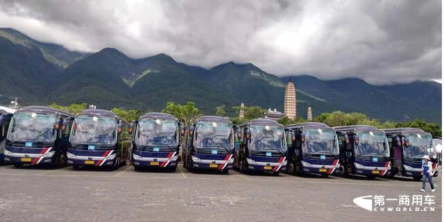 云南旅游市场从6月份的复苏到7月份的火爆，忙碌起来的旅游大巴司机们终于迎来运输市场的强势回归。