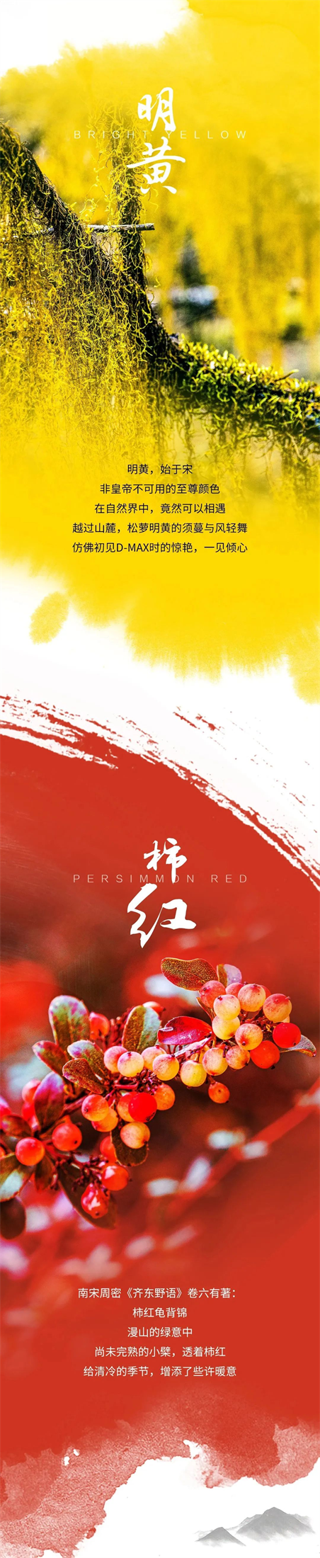 图片 2.png